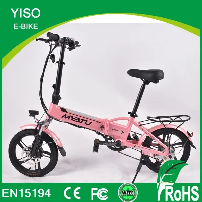 16-Zoll-Faltrad mit Magnesiumlegierungsrädern und Doppelscheibenbremse